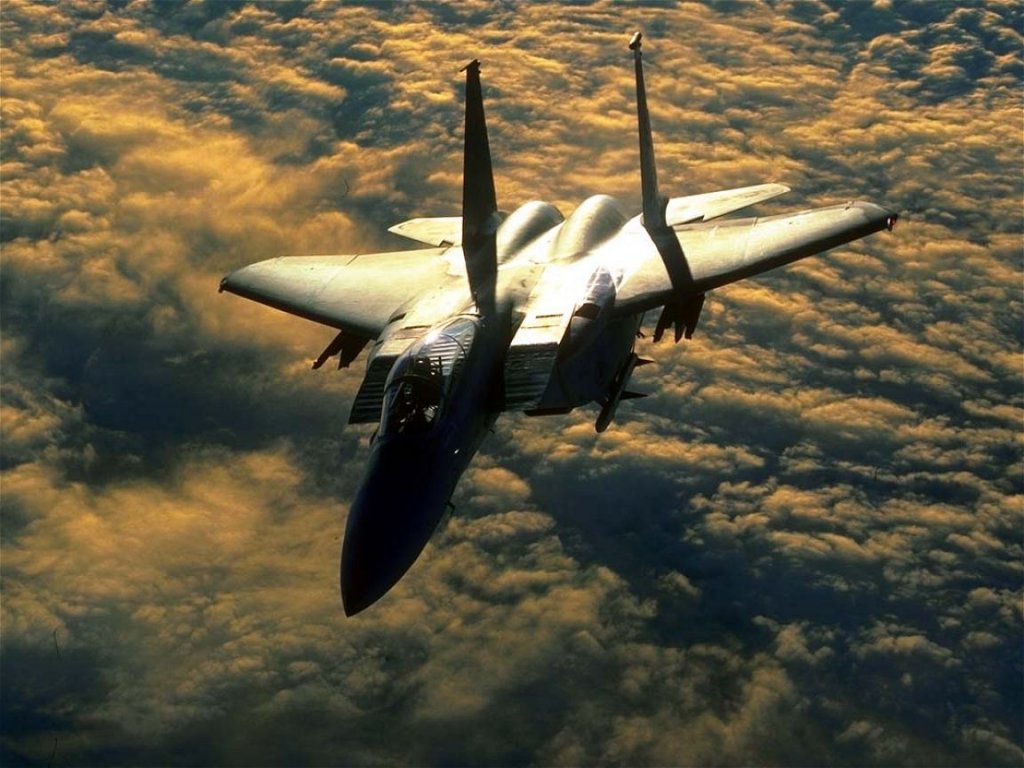 Avion de chasse militaire (5)
